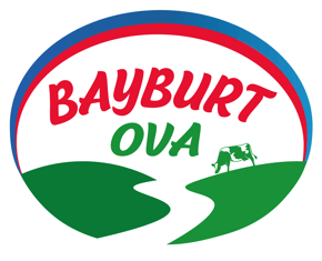 BayburtOva